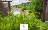 Туры в отель Hotel Spa Norat Torre do Deza