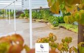 Туры в отель Hotel Spa Norat Torre do Deza