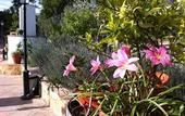 Туры в отель Hotel El Molino