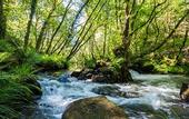 Туры в отель O Muino de Pena Casa Rural