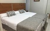 Туры в отель Hotel Alfonso VIII