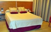 Туры в отель Hotel Alfonso VIII