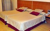 Туры в отель Hotel Alfonso VIII