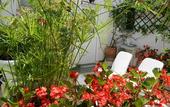 Туры в отель Hostal La Fonda