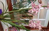 Туры в отель Hostal La Fonda