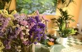 Туры в отель Hostal La Fonda