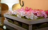 Туры в отель Hostal La Fonda