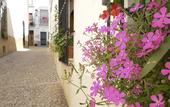 Туры в отель Hostal La Fonda