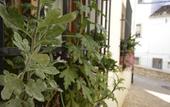 Туры в отель Hostal La Fonda