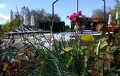 Туры в отель Agroturismo Sa Vinya d'en Palerm