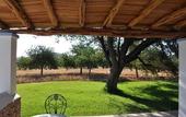 Туры в отель Agroturismo Sa Vinya d'en Palerm