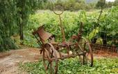 Туры в отель Agroturismo Sa Vinya d'en Palerm