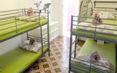 Туры в отель Fabrizzio's Petit