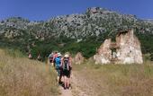 Туры в отель Salamandra Plaza B&B
