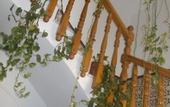Туры в отель Hostal La Costa