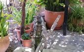 Туры в отель Hotel Rural el Molino de Felipe