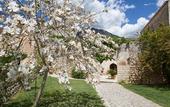 Туры в отель Finca Can Beneit