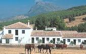 Туры в отель Hotel El Horcajo