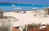 Туры в отель Hotel Riu Palace La Mola