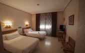 Туры в отель Hotel Castilla Torrijos