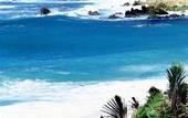 Туры в отель Marquis Los Cabos