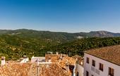 Туры в отель Hotel Los Castanos