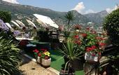 Туры в отель Hotel Miramar