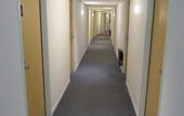 Туры в отель Hotel Heliotel