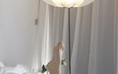 Туры в отель Oz'Inn Hotel