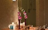 Туры в отель Marriott Royal Aurora