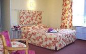Туры в отель Hotel Les Camelias