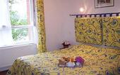 Туры в отель Hotel Les Camelias