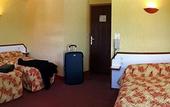 Туры в отель Hotel Les Camelias