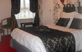 Туры в отель Hotel Les Camelias