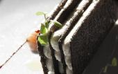 Туры в отель Le Prieure - Relais & Chateaux
