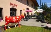 Туры в отель Sure Hotel by Best Western Annecy