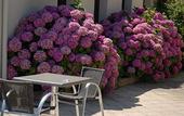 Туры в отель Logis Hotel Au Chene Vert