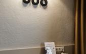 Туры в отель ibis Styles Lyon Sud Vienne