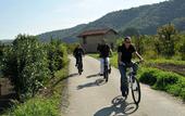 Туры в отель ibis Styles Lyon Sud Vienne