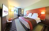 Туры в отель Mercure Grenoble Meylan