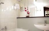 Туры в отель Mercure Grenoble Meylan
