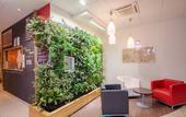 Туры в отель ibis Sarlat