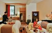 Туры в отель ibis Sarlat
