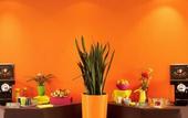 Туры в отель ibis Styles Besancon