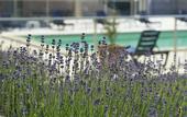 Туры в отель CIT’HOTEL LES ALIZES