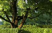Туры в отель Chateau de Mercues