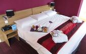 Туры в отель Mercure Luxeuil les Bains Hexagone