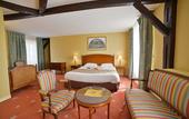 Туры в отель Chateau de Sancy