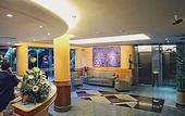 Туры в отель Windsor Martinique Hotel