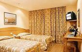 Туры в отель Windsor Martinique Hotel